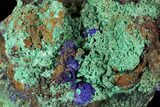 Sparkling Azurite and Malachite Crystal Cluster - Morocco #127522-3